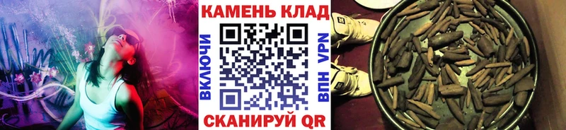 Гашиш Premium  где найти наркотики  Зуевка 