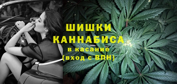 apvp Алзамай