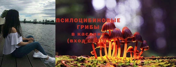 амфетамин Алексин