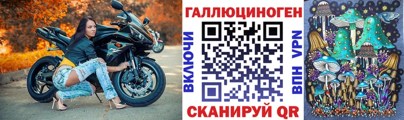 Псилоцибиновые грибы Cubensis  ОМГ ОМГ ТОР  Зуевка 