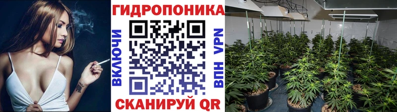 купить наркотик  mega рабочий сайт  Канабис SATIVA & INDICA  Зуевка 